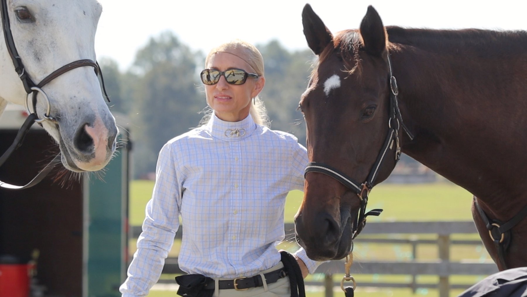 Equestrian portrait, Ocala